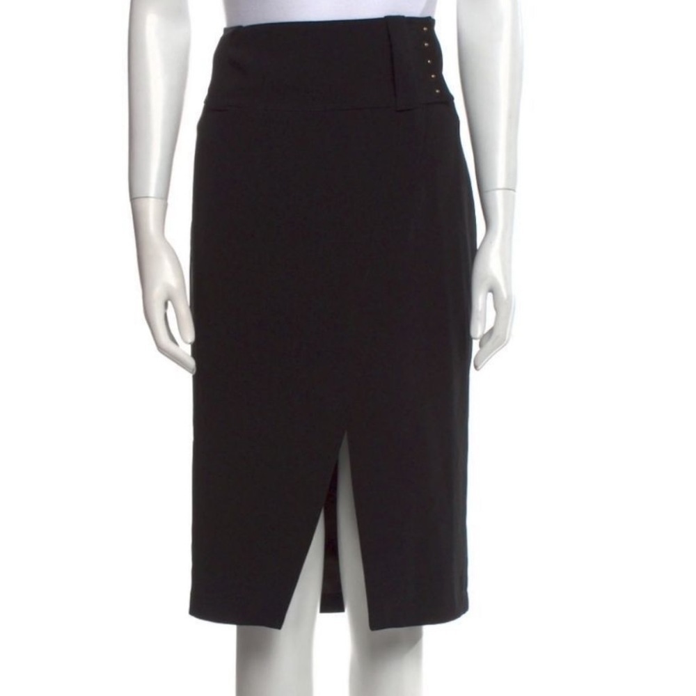 Derek Lam Skirt